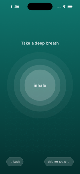 Pause step: a calming breathing circle