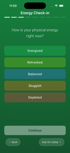 Energy Check-in step